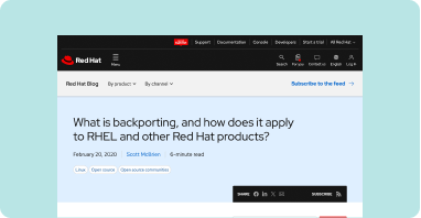 browser screen for the Backporting security fixes page