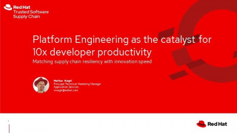 Platform Engineering as the catalyst for 10x developer productivity
